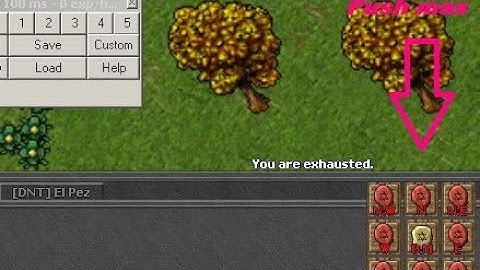 Tibia ElfBot NG Push MAX  icono Gratis