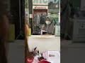 KASIR H2 - MIMING ARI - 108604
