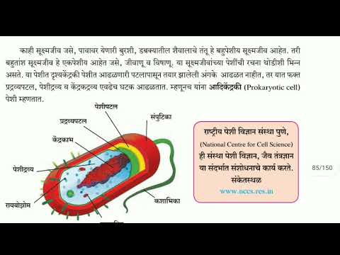 | पाठ 11 | पेशीरचना आणि सूक्ष्मजीव | peshi Rachna aane sukshmajeev | इयत्ता सातवी | भाग 2 |