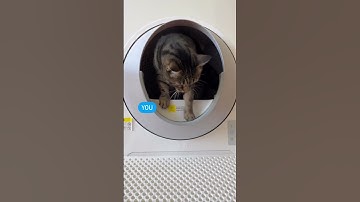 No more scooping! CATLINK