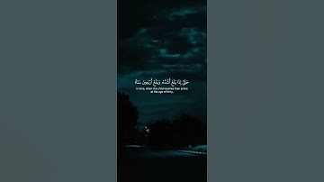 اكتب شيء تؤجر عليه 😴🩶 قران كريم | ياسر الدوسري