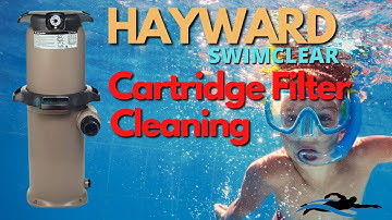 How To Clean A Hayward SwimClear Cartridge Filter [ STEP by STEP ]