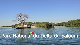 Parc National du Delta du Saloum 🇸🇳 4K