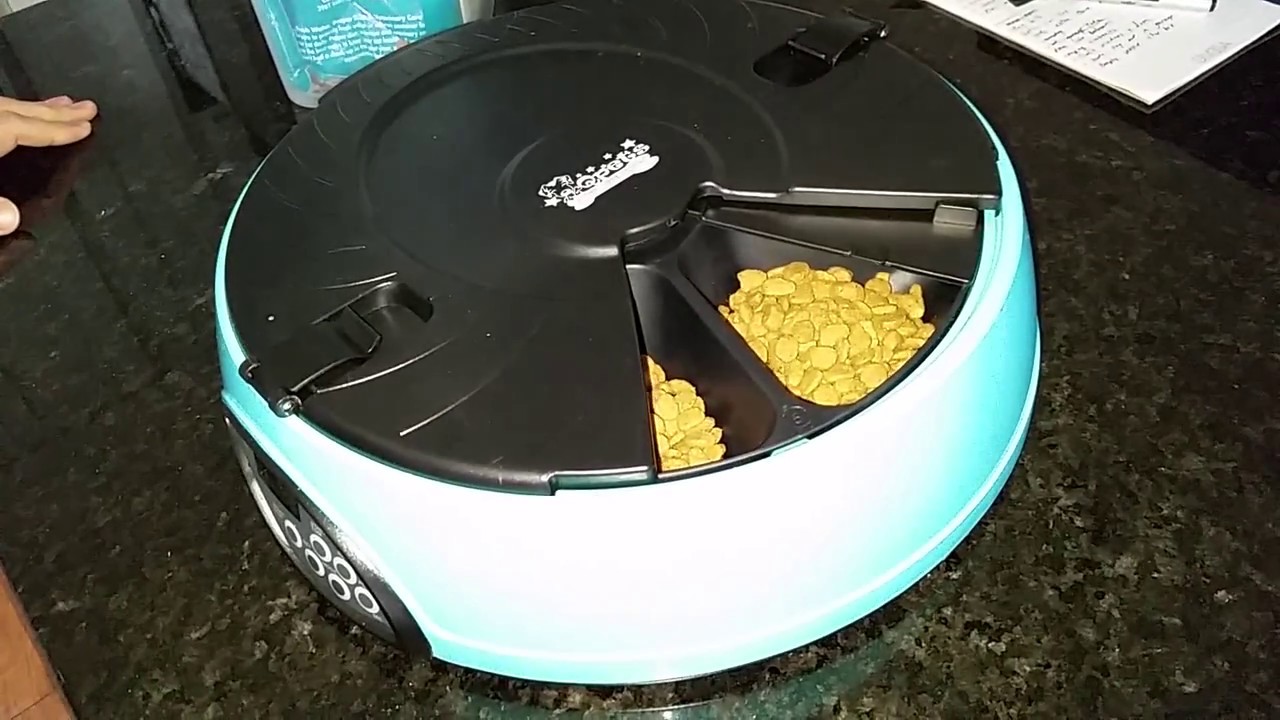 Qpets 6-Meal Automatic Pet Feeder 2 - YouTube