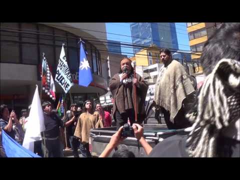 Marcha Por La Libredeterminación Mapuche 9nov16, Efrain Antriao