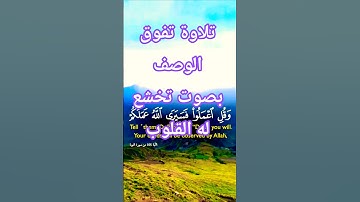 تلاوة خاشعة قرأن كريم تخشع له القلوب #قران_كريم #قرآن #elmulquranعلم #المصحف #اكسبلور #duet