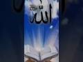 #mahshallah #allah #unfrezzmyaccount #love #answer #dothingsyoudontwanttodo #beautiful #lifeisbutad