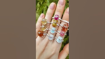 NHẪN BẠC TÚI TIỀN TÀI LỘC (2)