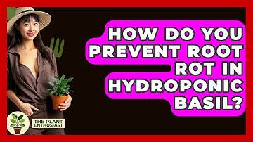 How Do You Prevent Root Rot In Hydroponic Basil? - The Plant Enthusiast