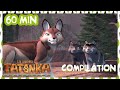 Tatonka en franais  compilation 1h  la grande menace  dessins anims