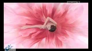 Download lagu Iklan Lux Soft Touch Baru Edisi Bunga Citra Lestari Mandi