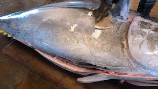 Top Cutting Skills for Perfectly Cutting 468 KG Bluefin Tuna in 3 Minutes