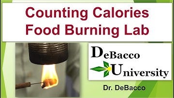 Counting Calories - Food Burning Lab