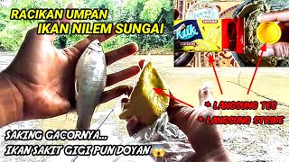 Langsung Tes Racikan Umpan Nilem Sungai