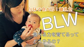 自分で食べる離乳食。BLWのお話し。