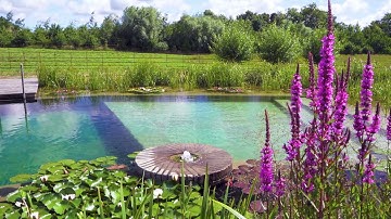 Natural Swimming Pool in Lincolnshire