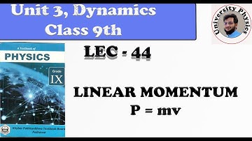 Linear Momentum |Examples of Momentum in Everyday Life |Easiest way