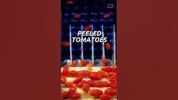 Optical sorting machines for Tomatoes | RAYTEC VISION SpA