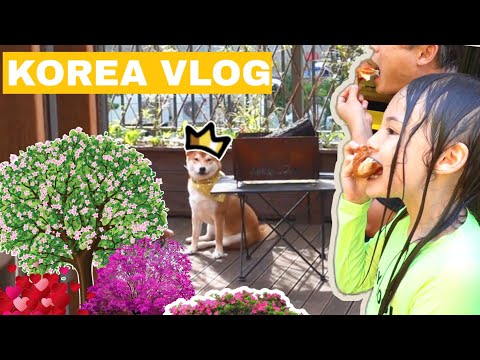 Вернулась домой, а дома бардак ^^ Домашний влог / KOREA VLOG /