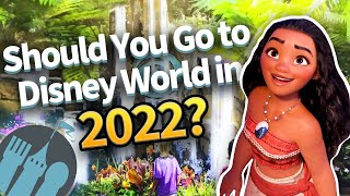 Should You Go To Disney World in 2022?