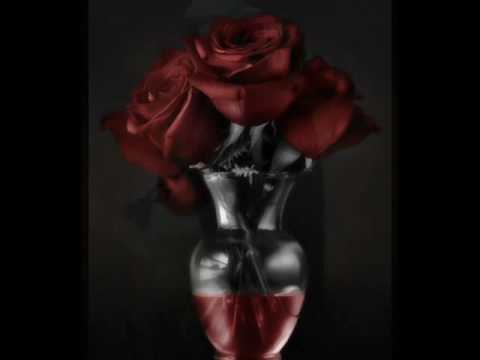 Video: Crne Ruže