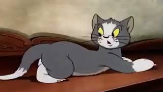Tom And Jerry Tom And Jerry Show Puss Gets The Boot Tom And Jerry Cartoon Tom & Jerry