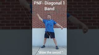 PNF Diagonal 1 (D1)