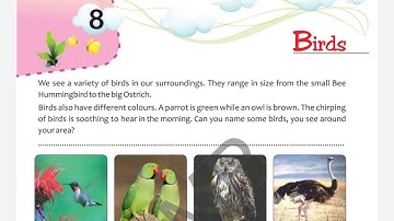 || 8. BIRDS || Evs || Class 3