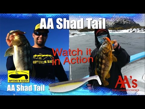 AA/'s Medium Shad Swimbait Body 3/"