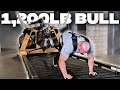 STRONGMAN VS 1,200LB BULL | ROGUE EQUIPMENT TESTING