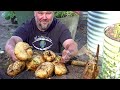 5 Tips How to Grow a Ton of Jicama in One Container or Raised Garden Bed