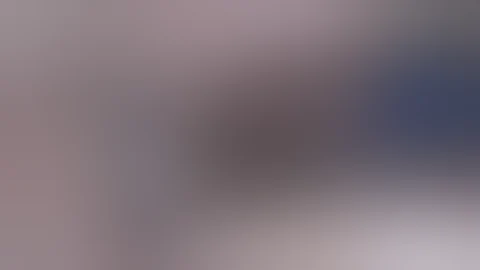 Best of Liveleak   June 2017 part 2