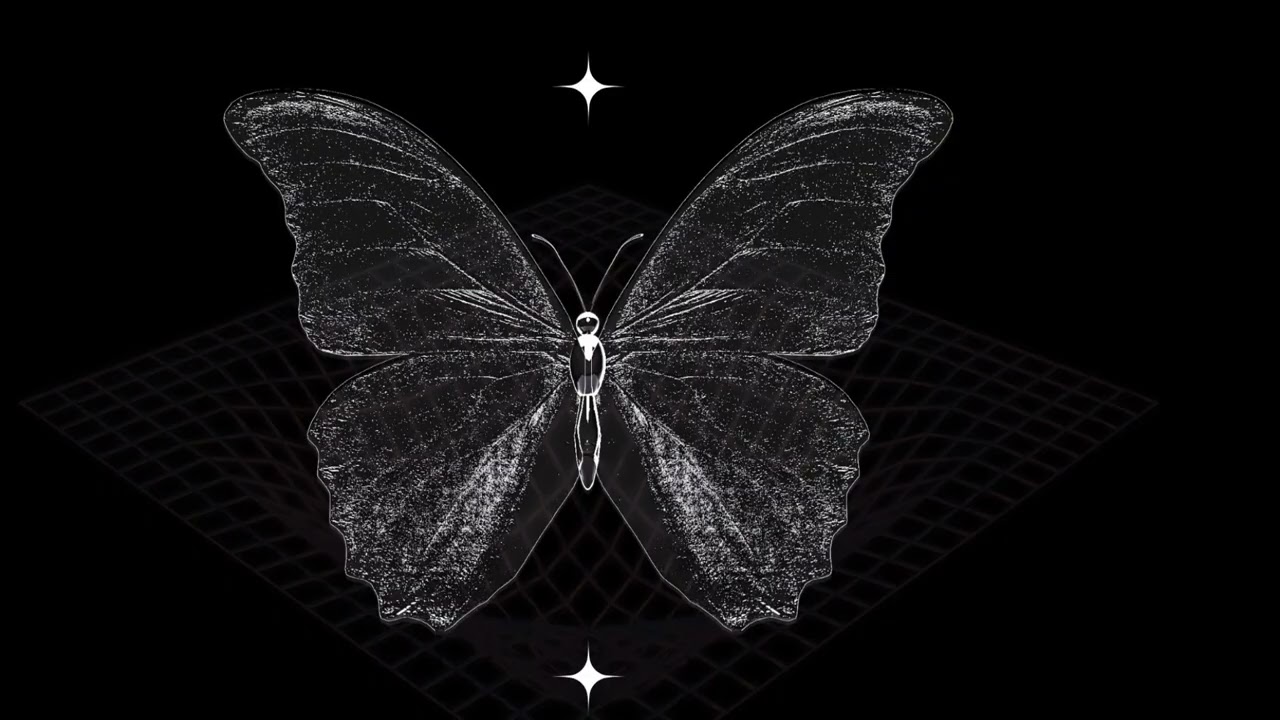 Transformation: Coming out of the shell as a leader. New Systems = new growth🦋