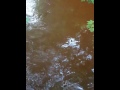 Spill Video by Sherri Eldridge