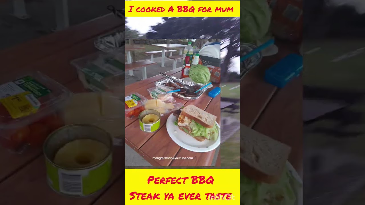 Mongrel-TV: travel guide