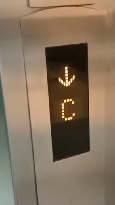 Dubai Metro Station Union To Sharaf DG  #dubaimetro#youtubeshorts#trending#today#viral#dubai
