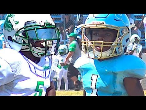 🔥🔥10u IE Ducks vs Compton 'Hub City Tar Heels | Highlight Mix 2017