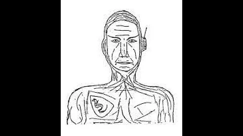 AudioBlog PART II: A Multiple Witness UFO Abduction