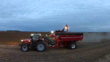 Soybean Harvest: Combine Unloading into Grain Cart