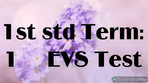 1 Std Term -1 EVS Question Paper