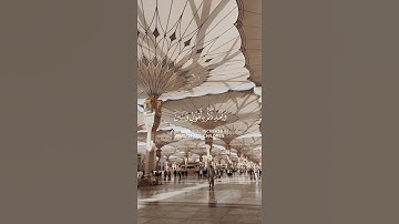سورة نوح {الآية 10} بصوت الشيخ ياسر الدوسري ❤️❤️