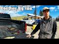 One Walleye Over the Limit Cost Him BIG