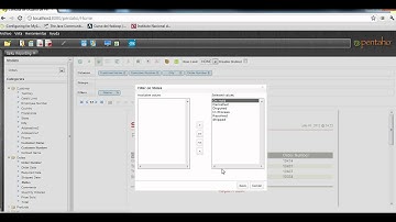 Working with Saiku Reporting