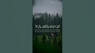 الذين آمنوا وتطمئن قلوبهم بذكر الله ألا بذكر الله تطمئن القلوب : تلاوة بدون مايك