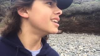 Zombies at the Beach screenshot 5