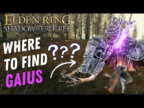 Dlc Location