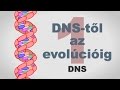 A DNS-től az evolúcióig - csak egyszerűen (1. rész)