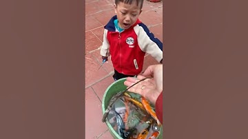 Tội nghiệp pipi không bắt được cá khóc nhè kìa #shortvideo