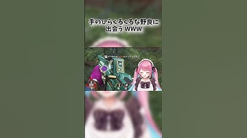 手のひらくるくるな野良がおもろすぎたＷＷＷ #shorts #vtuber #apex