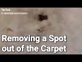 Removing a Spot out of the Carpet. Deep Cleaning the Carpet. Just Right Carpet Cleaning #howto